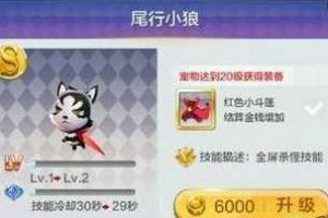 辅助刷分送尾行小狼