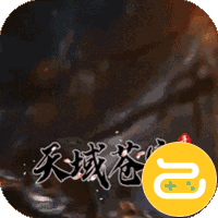 天域苍穹铂金VIP高返版