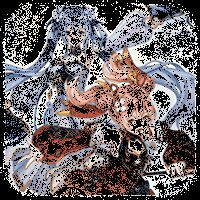 天下争霸三国志