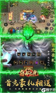 自由之光游戏截图-4