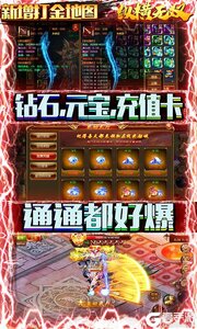 纵横无双游戏截图-3