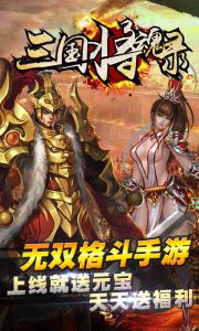 三国将魂录游戏截图-2