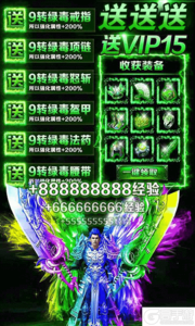 双倍传奇满V版游戏截图-3