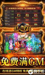 龙之觉醒(激情0.1折)游戏截图-2
