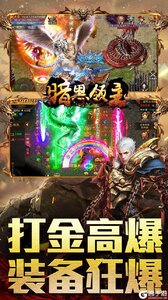 暗黑领主游戏截图-2