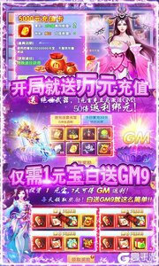 紫青双剑1元宝满GM游戏截图-3