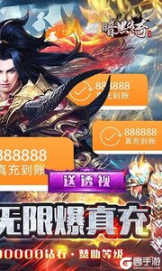 暗黑传奇送透视真充游戏截图-1
