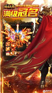 雄霸天地游戏截图-0