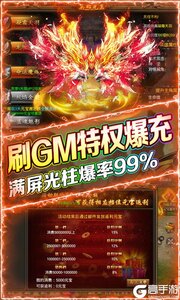 烈火星辰刷GM爆充值游戏截图-3