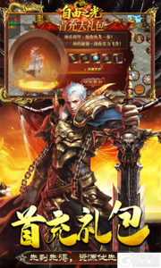 自由之光游戏截图-3