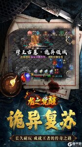 龙之觉醒游戏截图-3