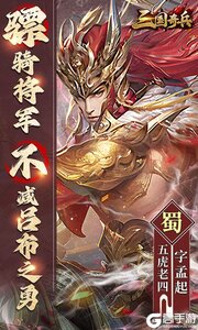 三国奇兵游戏截图-3