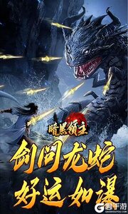 暗黑领主游戏截图-3