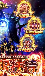 暗黑觉醒(GM无限扶持)游戏截图-1
