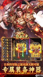 自由之光游戏截图-4