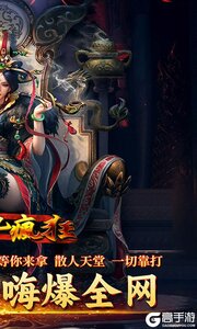 英雄也疯狂游戏截图-1