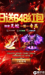 顽石英雄游戏截图-1