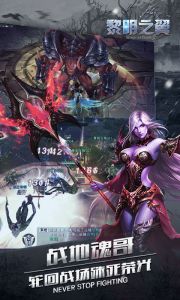 黎明之翼游戏截图-4