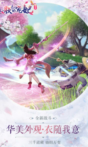 朕的宠妃游戏截图-3