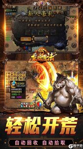 龙魂魔法游戏截图-2