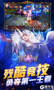 狂暴之翼可盘版游戏截图-3