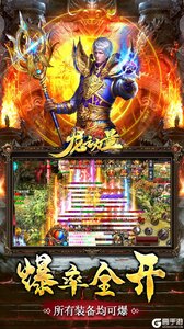 龙之力量忘忧攻速版游戏截图-3