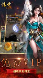 天王传奇游戏截图-1