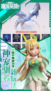 我的魔法英雄伙伴（0.05折每天送648）游戏截图-4