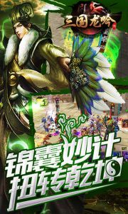 三国龙吟传游戏截图-3