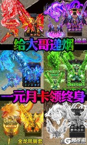 皓月屠龙（社会特权）游戏截图-2