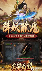 主宰无双游戏截图-3