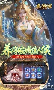 真·战三国公益服游戏截图-2