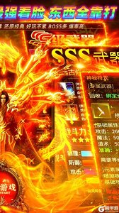 致命狙击游戏截图-1