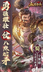 三国奇兵游戏截图-1