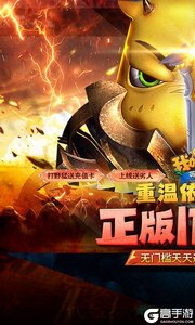 我叫MT英雄杀3733版游戏截图-0