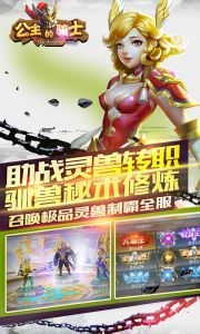 公主的骑士游戏截图-3