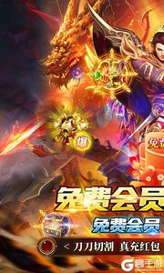 御龙城堡安卓版游戏截图-0