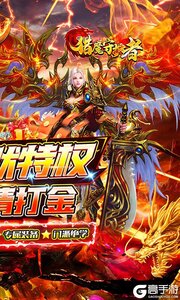 猎魔守护者游戏截图-1