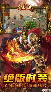 自由之光游戏截图-3