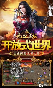 无双屠龙（双龙极品爆爆爆）游戏截图-2