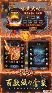 自由之光游戏截图-2