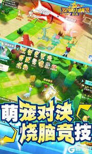 多乐宠物小精灵(百抽特权)游戏截图-4