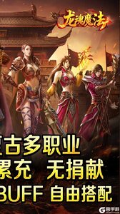龙魂魔法游戏截图-1