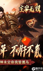 主宰无双游戏截图-1