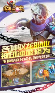 公主的骑士游戏截图-0