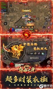 自由之光游戏截图-3