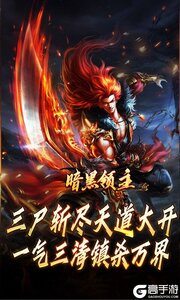 暗黑领主游戏截图-2