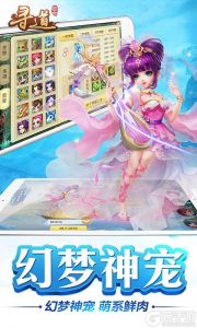 神之路公益服游戏截图-1