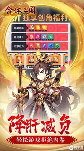 合体三国游戏截图-4