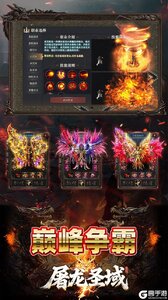 屠龙圣域游戏截图-2